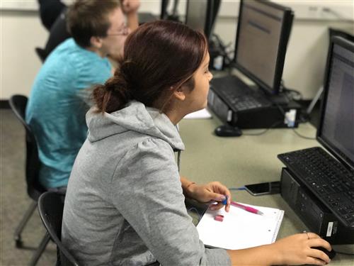 Student working in Virtual Academy 